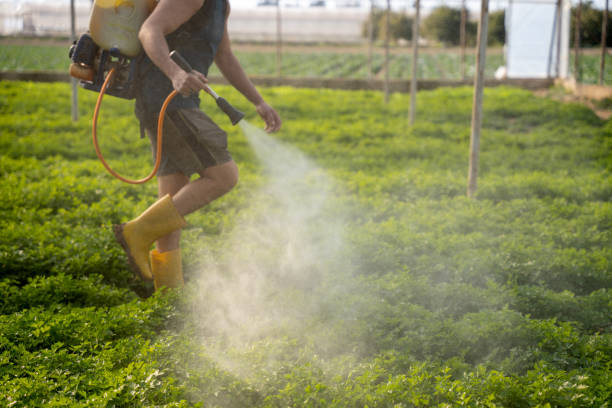 Best Residential Pest Control  in San Carlos, TX
