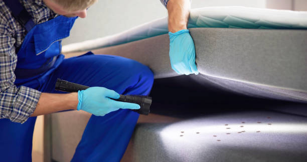 Best Best Pest Control Companies  in San Carlos, TX