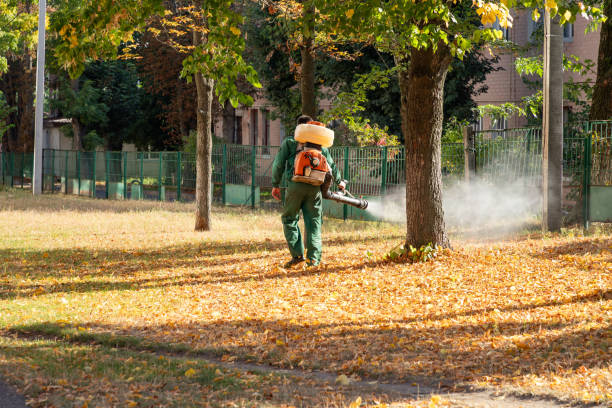 Best Cockroach Control Services  in San Carlos, TX